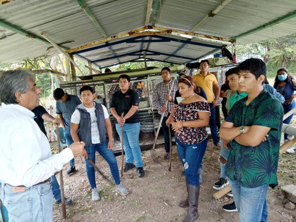 PREPARACIÓN DE TERRENOS PARA EL ESTABLECIMIENTO DE DIVERSOS CULTIVOS