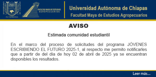 RESULTADO DE LA CONVOCATORIA JÓVENES ESCRIBIENDO EL FUTURO 2025-1