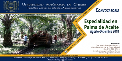 Convocatoria Especialidad en Palma de Aceite