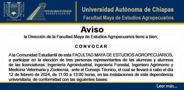 CONVOCATORIA DE ELECCION DE REPRESENTANTES DE LAS ALUMNAS Y ALUMNOS POR LICENCIATURA