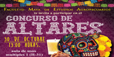 Concurso de altares