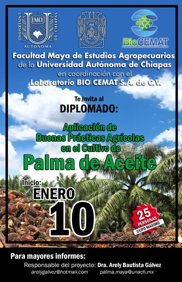 Diplomado: Aplicación de Buenas Prácticas Agrícolas en el Cultivo de PALMA DE ACEITE