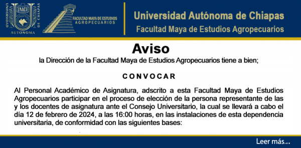 CONVOCATORIA ELECCIÓN DE REPRESENTANTES DE LAS Y LOS DOCENTES DE ASIGNATURA ANTE EL CONSEJO UNIVERSITARIO