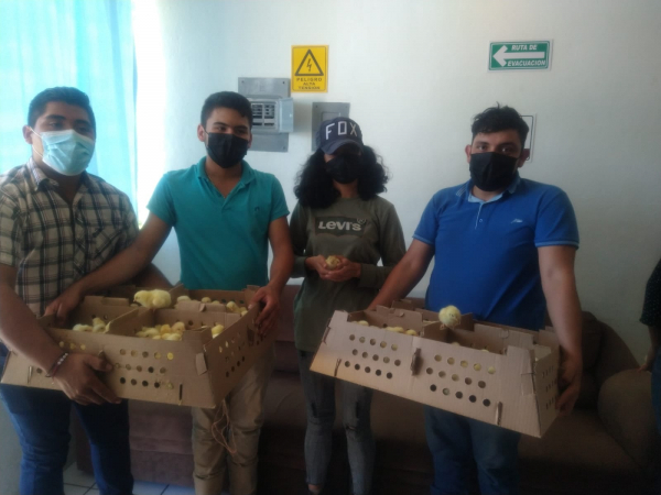 INSTALACIÓN DE MÓDULO DE PRODUCCIÓN DE POLLOS DE ENGORDA.